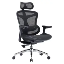SIHOO Doro C300 Ergonomischer Bürostuhl mit ultraweichen 3D-Armlehnen, dynamischer Lordosenstütze und verstellbarer Rückenlehne, für das Homeoffice (Schwarz)